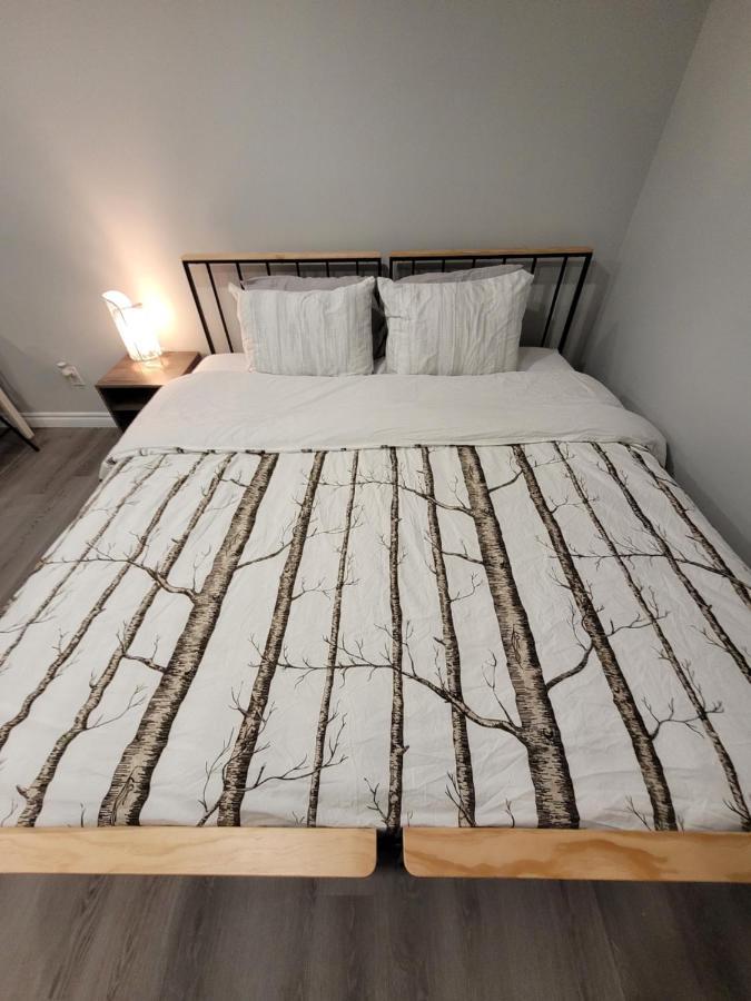 Guest House Basement - Master Bedrooms In Bayview Village Toronto Eksteriør billede